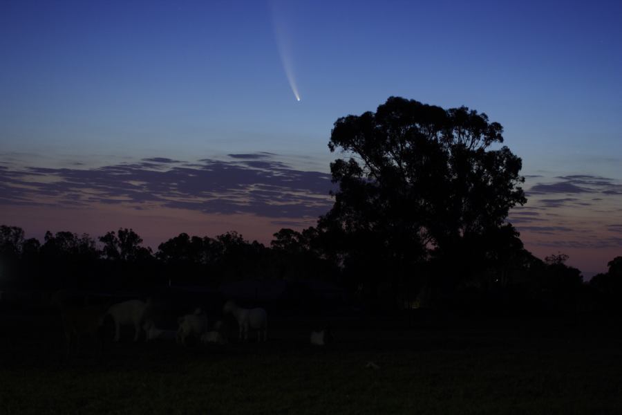 sunset sunset_pictures : Comet McNaught from Schofields   20 January 2007