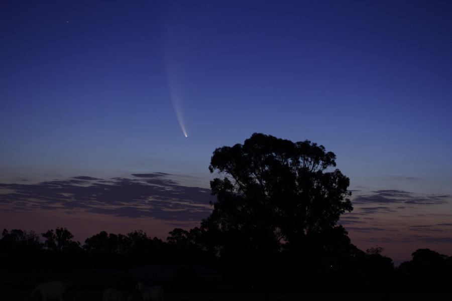 sunset sunset_pictures : Comet McNaught from Schofields   20 January 2007