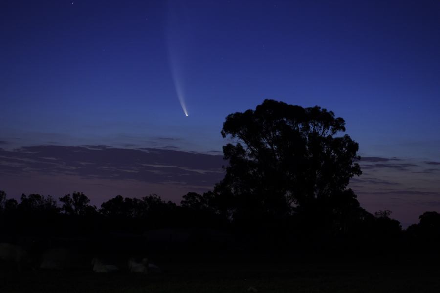 sunset sunset_pictures : Comet McNaught from Schofields   20 January 2007