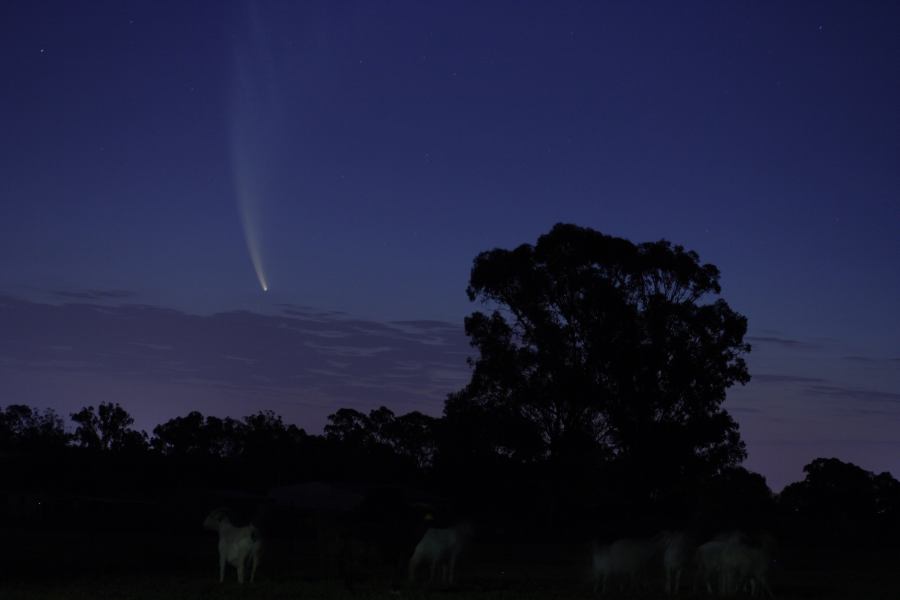 sunset sunset_pictures : Comet McNaught from Schofields   20 January 2007