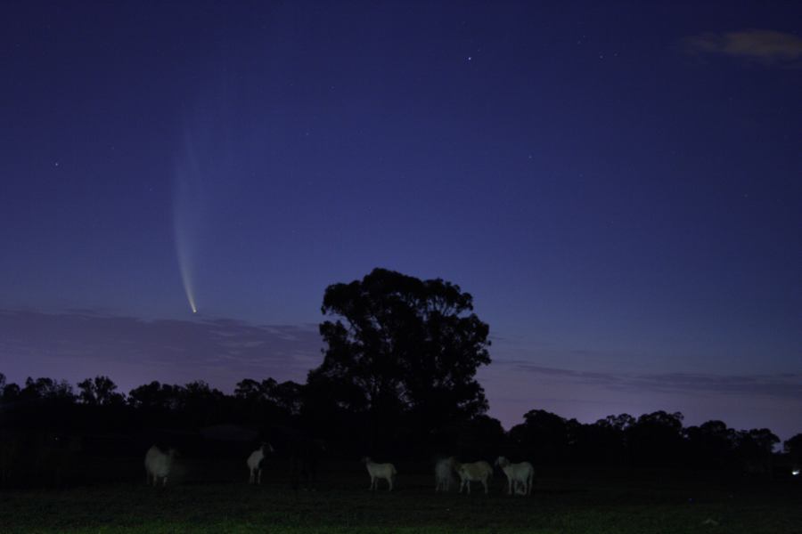 sunset sunset_pictures : Comet McNaught from Schofields   20 January 2007