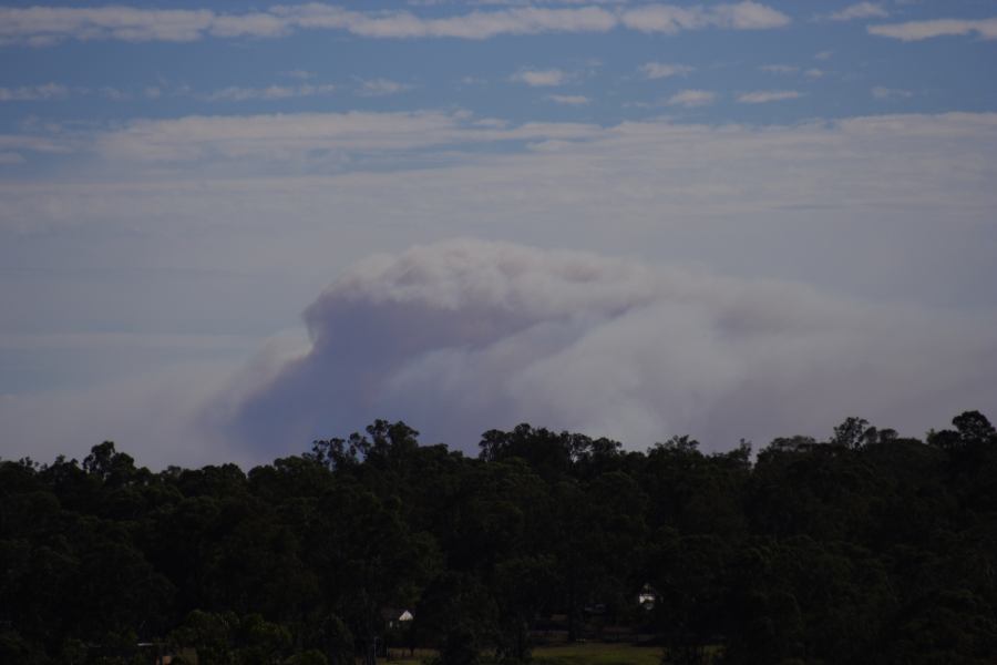 bushfire wild_fire : Schofields, NSW   22 January 2007