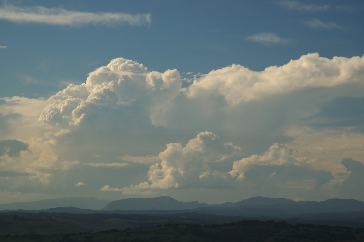 pileus pileus_cap_cloud : McLeans Ridges, NSW   22 January 2007