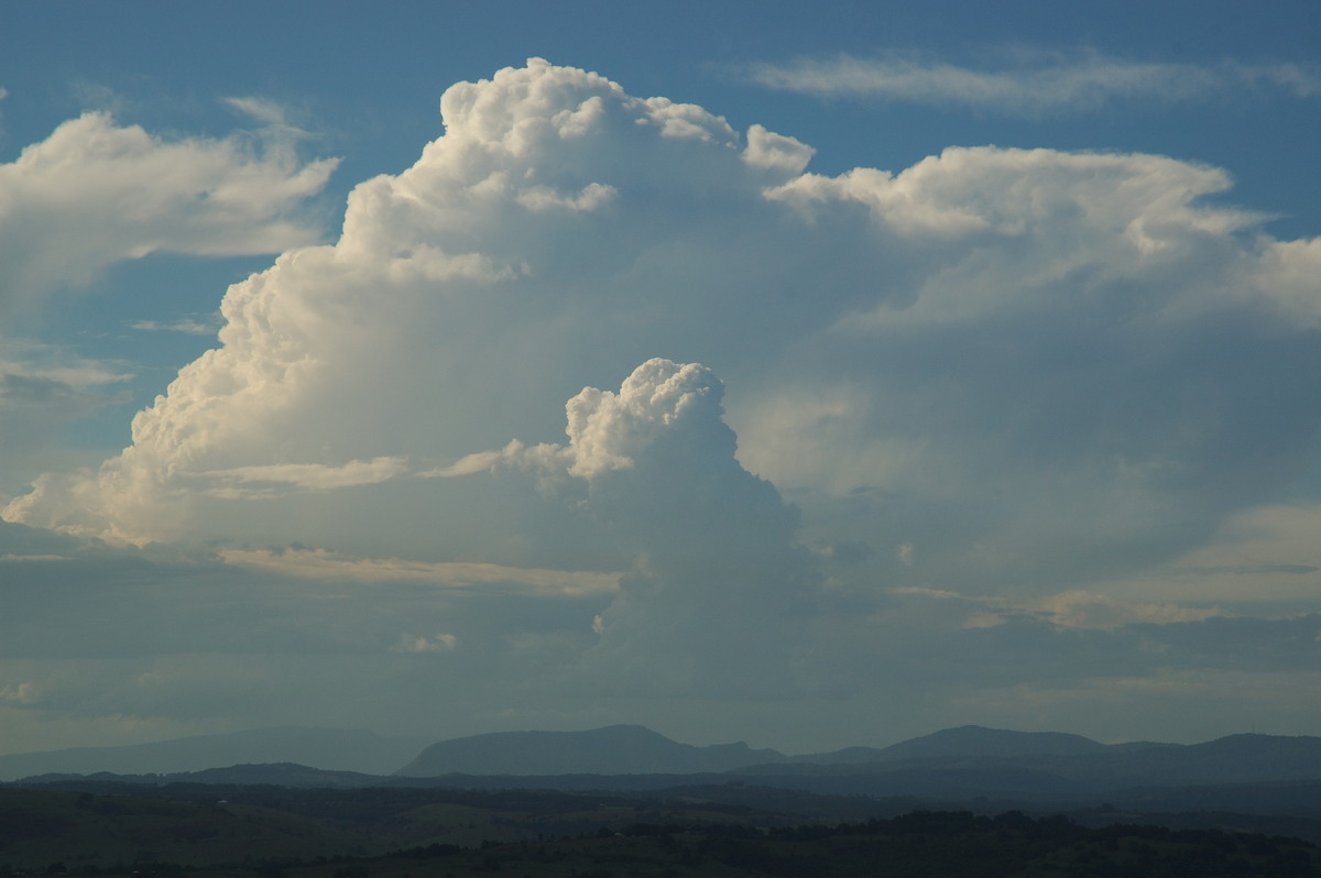 thunderstorm cumulonimbus_calvus : McLeans Ridges, NSW   22 January 2007