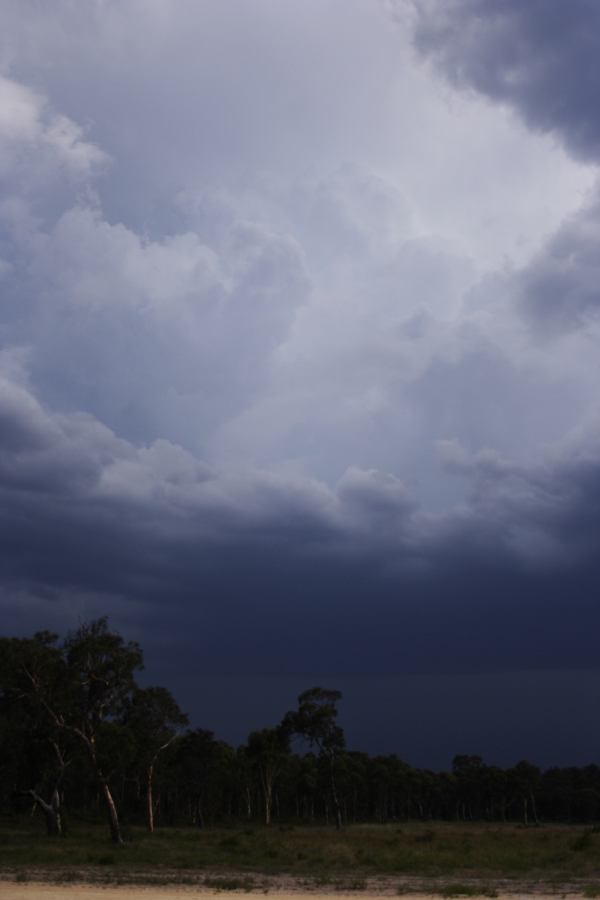 updraft thunderstorm_updrafts : ~20km N of Colo Heights, NSW   23 January 2007