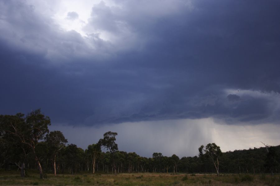 raincascade precipitation_cascade : ~20km N of Colo Heights, NSW   23 January 2007