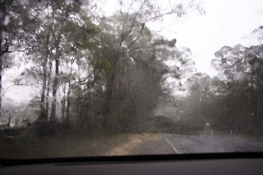 disasters storm_damage : ~10km N of Colo Heights, NSW   23 January 2007