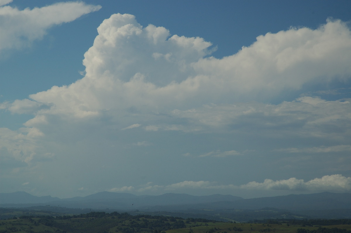 thunderstorm cumulonimbus_calvus : McLeans Ridges, NSW   24 January 2007