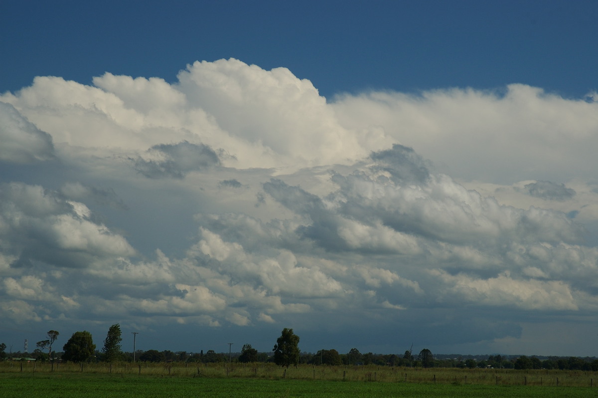 thunderstorm cumulonimbus_incus : near Grafton, NSW   26 January 2007