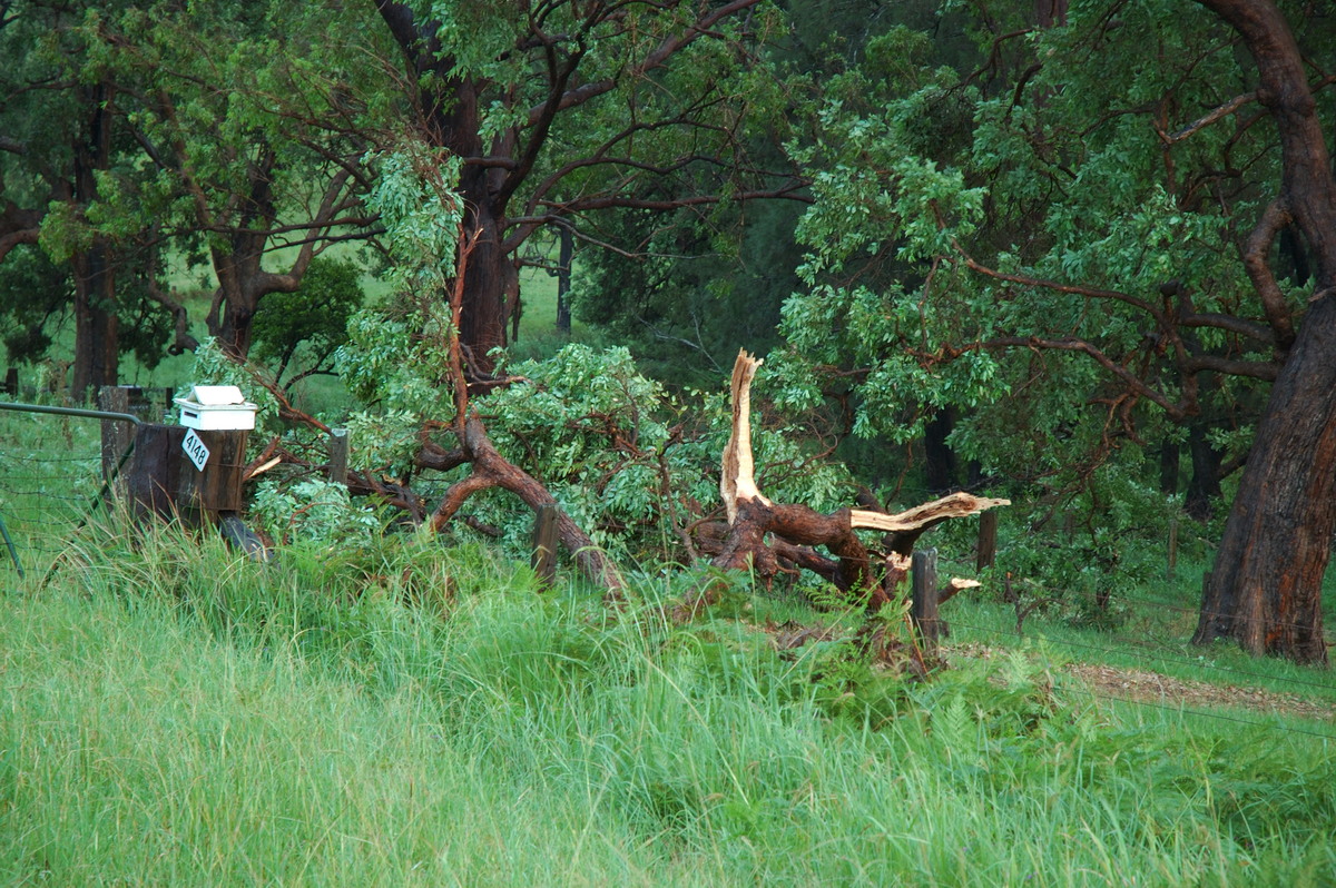 disasters storm_damage : Jackadgery, NSW   26 January 2007