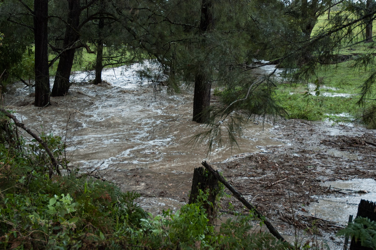 flashflooding flood_pictures : Jackadgery, NSW   26 January 2007