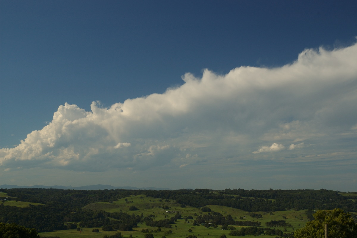 cumulus congestus : Alstonville, NSW   27 January 2007