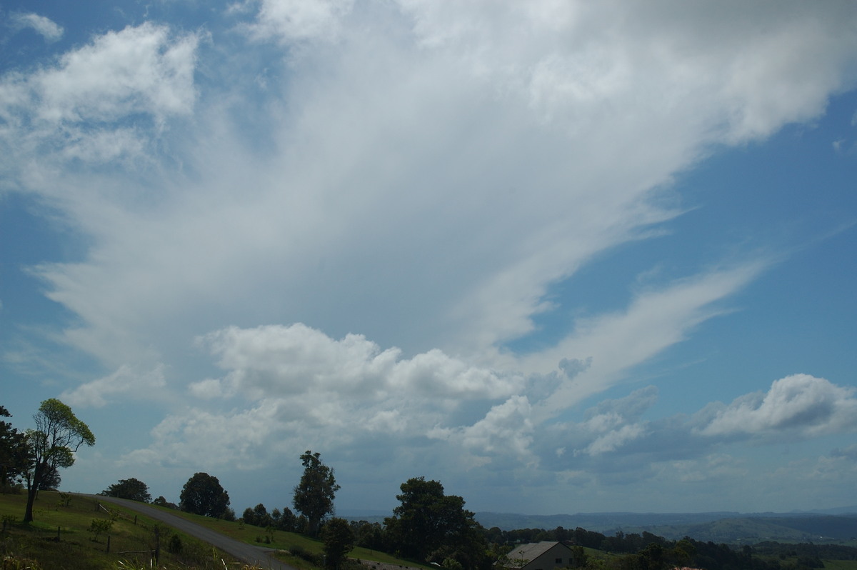 anvil thunderstorm_anvils : McLeans Ridges, NSW   30 January 2007