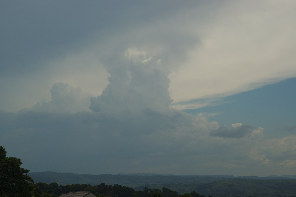 anvil thunderstorm_anvils : McLeans Ridges, NSW   30 January 2007