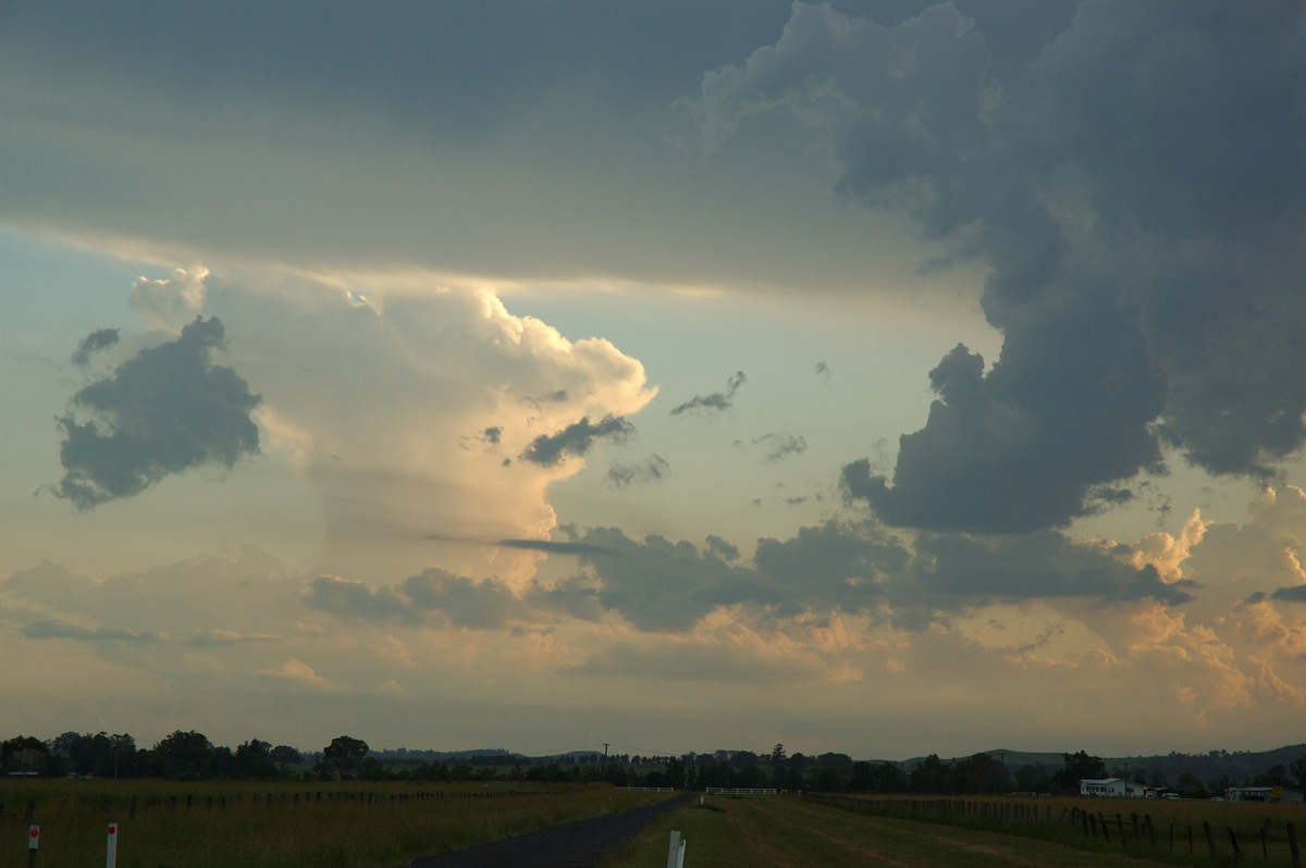 cumulus congestus : N of Casino, NSW   30 January 2007