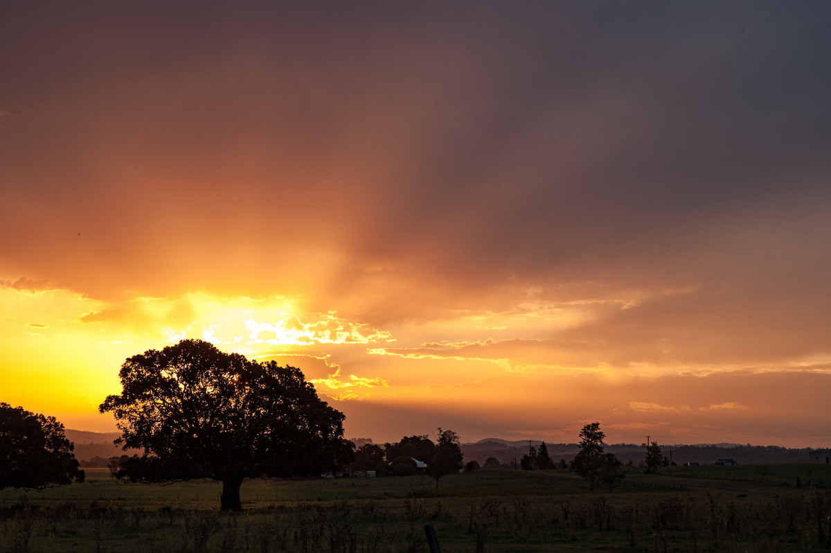 sunset sunset_pictures : N of Casino, NSW   30 January 2007