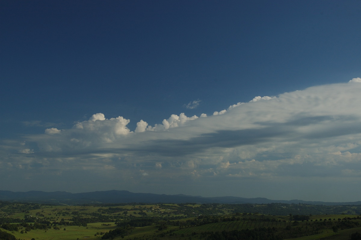 altocumulus castellanus : McLeans Ridges, NSW   31 January 2007