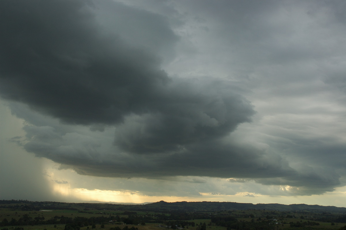 shelfcloud shelf_cloud : Wyrallah, NSW   31 January 2007