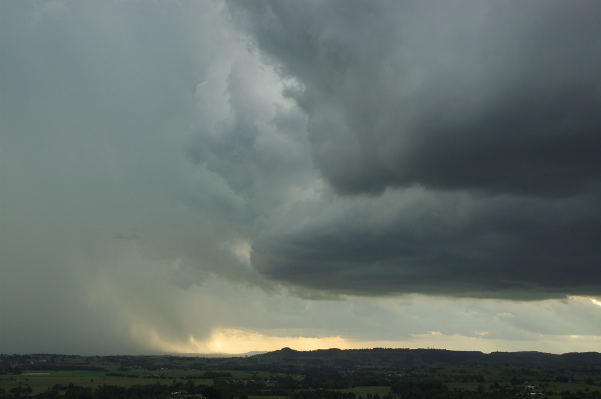 updraft thunderstorm_updrafts : Wyrallah, NSW   31 January 2007