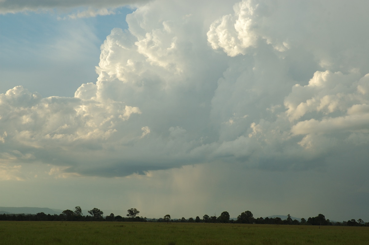 cumulus congestus : N of Casino, NSW   31 January 2007