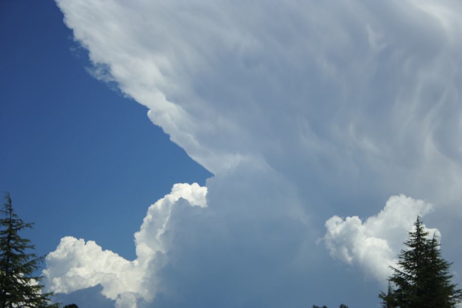 anvil thunderstorm_anvils : Bilpin, NSW   3 February 2007