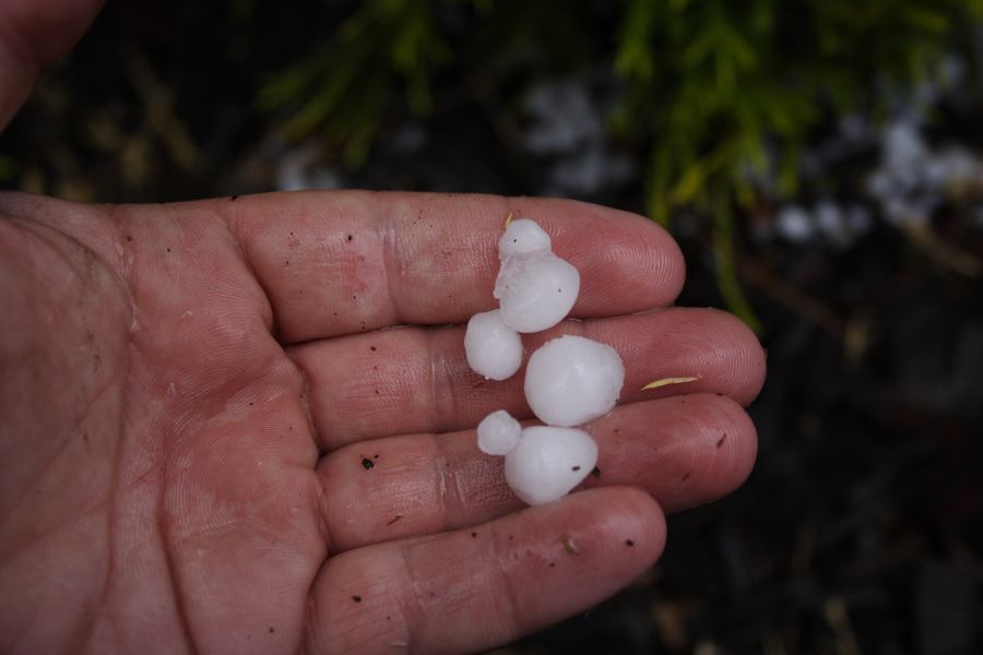 hailstones hail_stones : Lithgow, NSW   3 February 2007