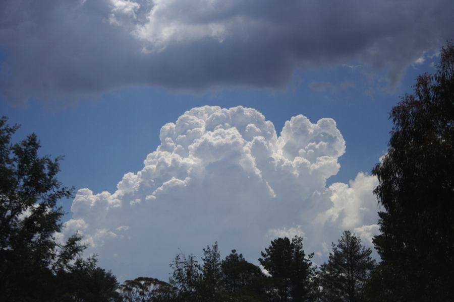 thunderstorm cumulonimbus_calvus : near Sunny Corner, NSW   3 February 2007