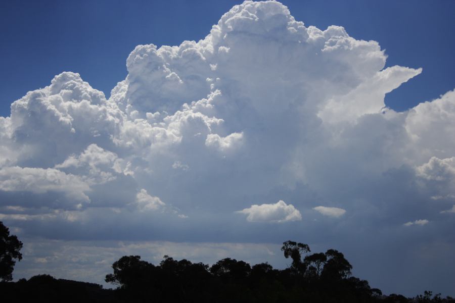 updraft thunderstorm_updrafts : near Sunny Corner, NSW   3 February 2007