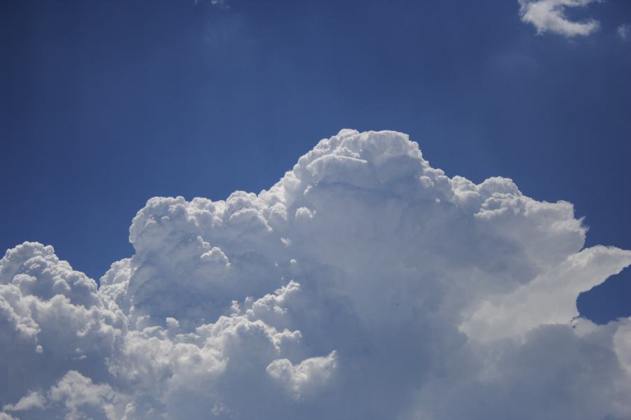 thunderstorm cumulonimbus_calvus : near Sunny Corner, NSW   3 February 2007