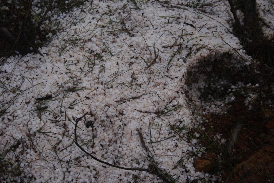 hailstones hail_stones : Sunny Corner, NSW   3 February 2007