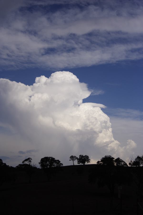 pileus pileus_cap_cloud : near Ilford, NSW   3 February 2007