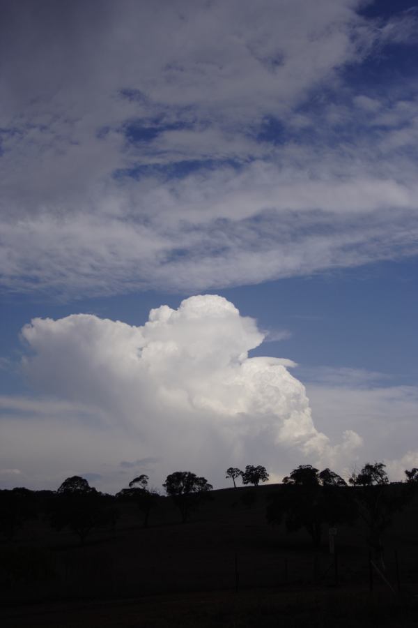 thunderstorm cumulonimbus_calvus : near Ilford, NSW   3 February 2007