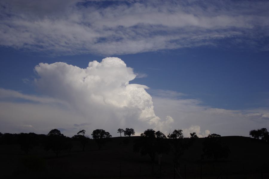 pileus pileus_cap_cloud : near Ilford, NSW   3 February 2007