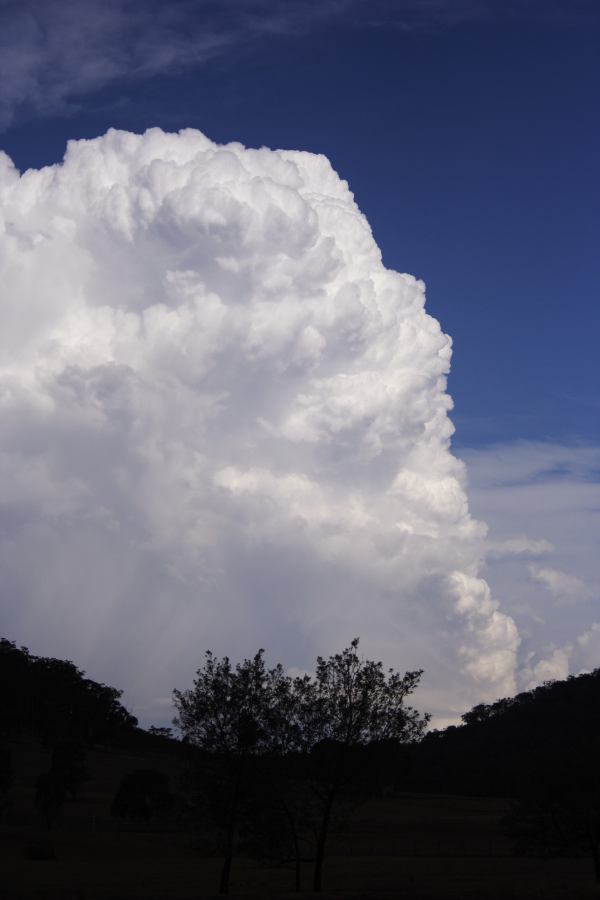 updraft thunderstorm_updrafts : near Ilford, NSW   3 February 2007