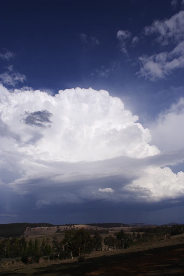 thunderstorm cumulonimbus_incus : S of Cherry Tree Hill, NSW   3 February 2007