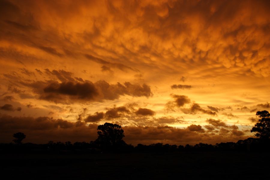 mammatus mammatus_cloud : Schofields, NSW   7 February 2007