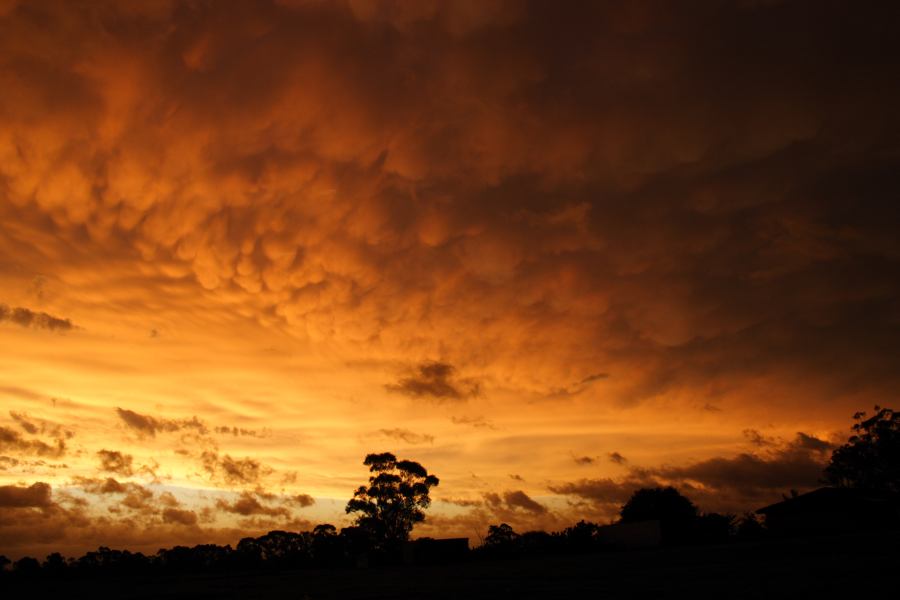 sunset sunset_pictures : Schofields, NSW   7 February 2007