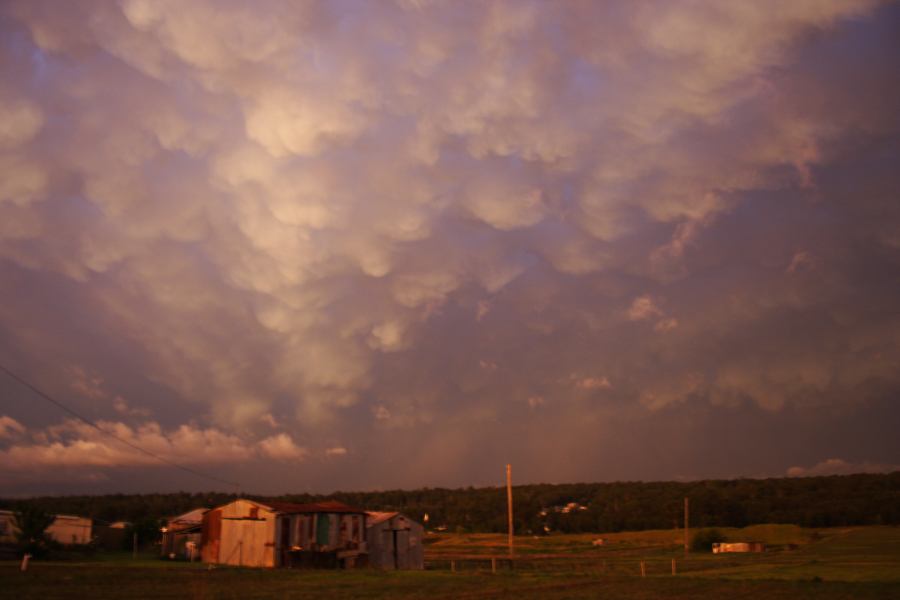 mammatus mammatus_cloud : Schofields, NSW   7 February 2007