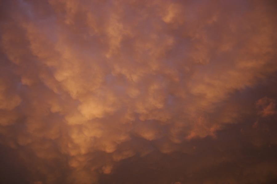 mammatus mammatus_cloud : Schofields, NSW   7 February 2007