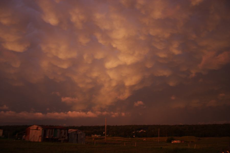 mammatus mammatus_cloud : Schofields, NSW   7 February 2007