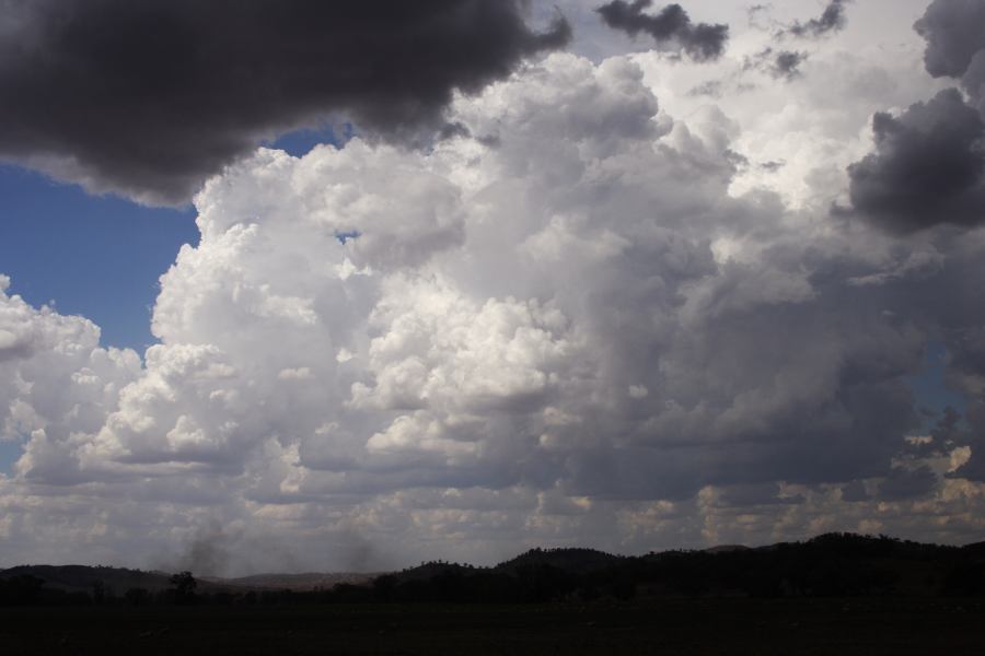 microburst micro_burst : SE of Wellington, NSW   10 February 2007