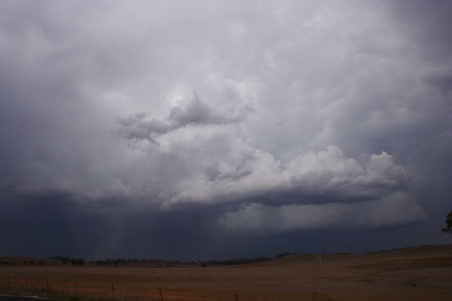 cumulonimbus thunderstorm_base : W of Gulgong, NSW   10 February 2007