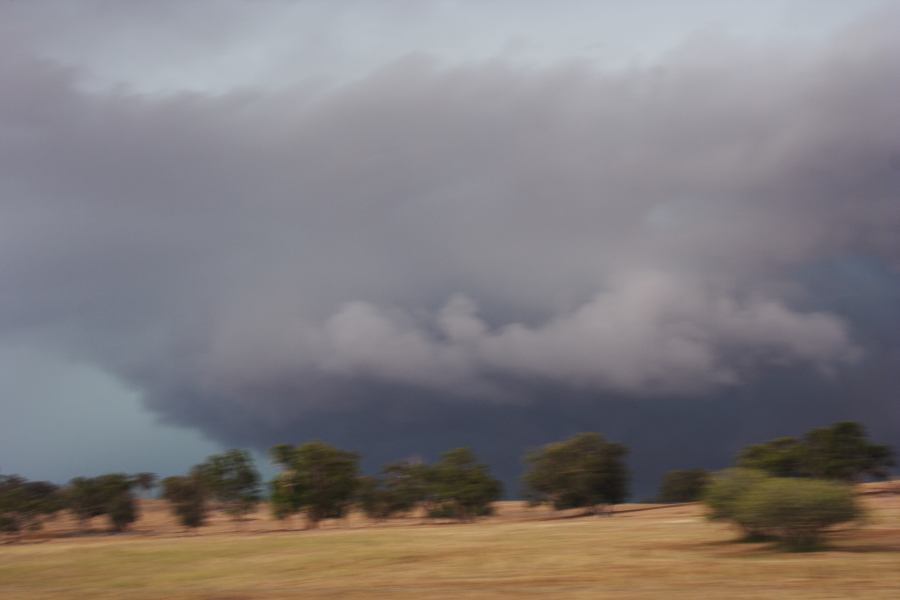 cumulonimbus thunderstorm_base : N of Gulgong, NSW   10 February 2007