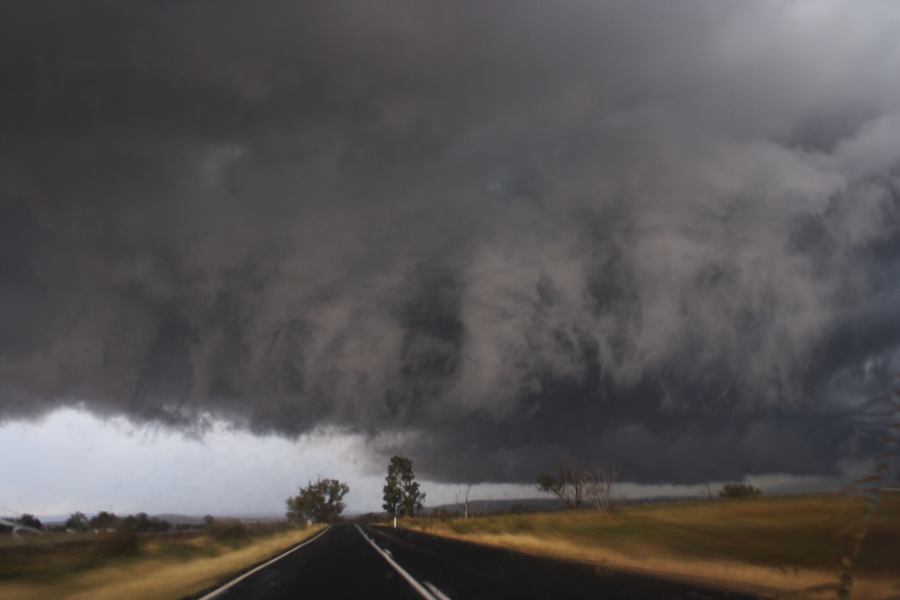 favourites jimmy_deguara : N of Gulgong, NSW   10 February 2007