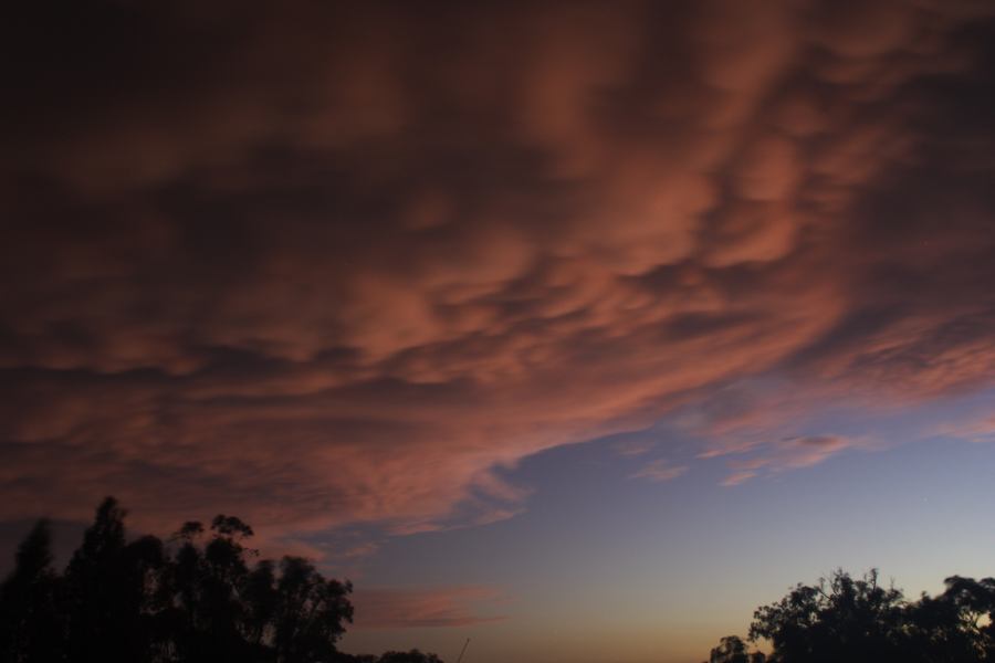 mammatus mammatus_cloud : Coonabarabran, NSW   10 February 2007