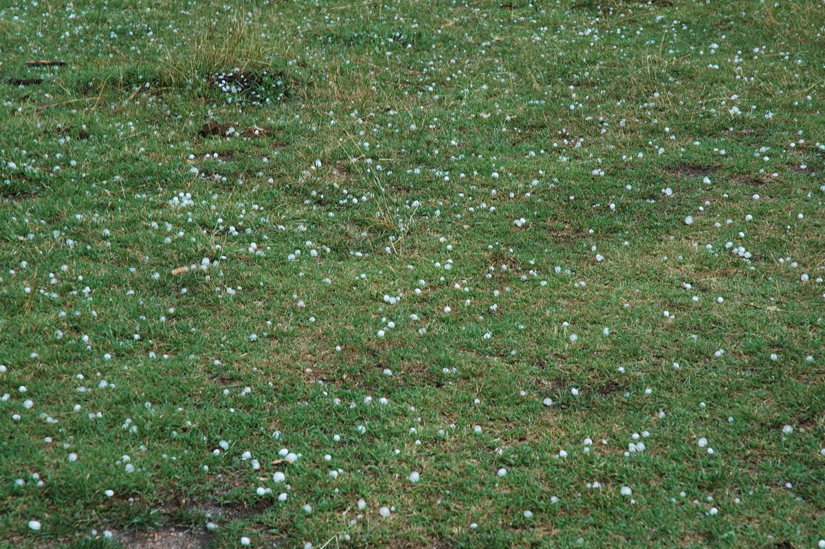 hailstones hail_stones : S of Tenterfield, NSW   10 February 2007