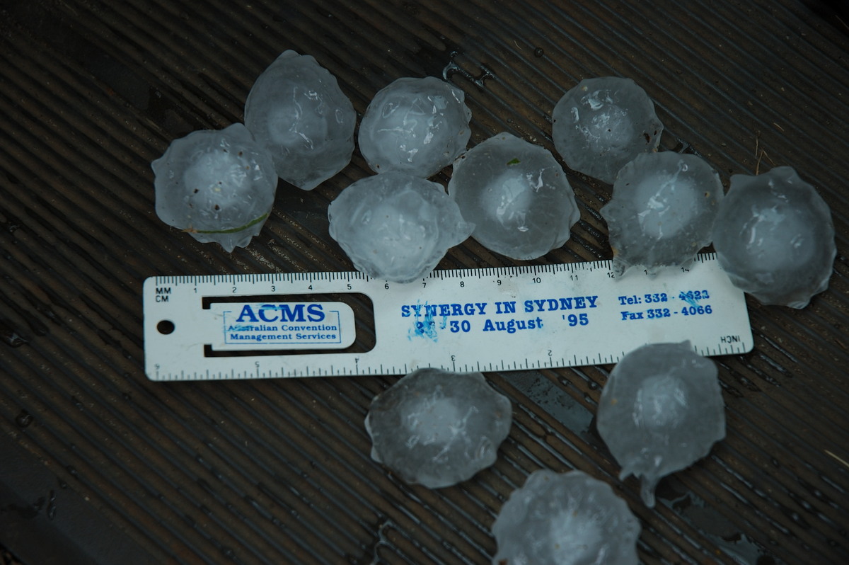 hailstones hail_stones : S of Tenterfield, NSW   10 February 2007