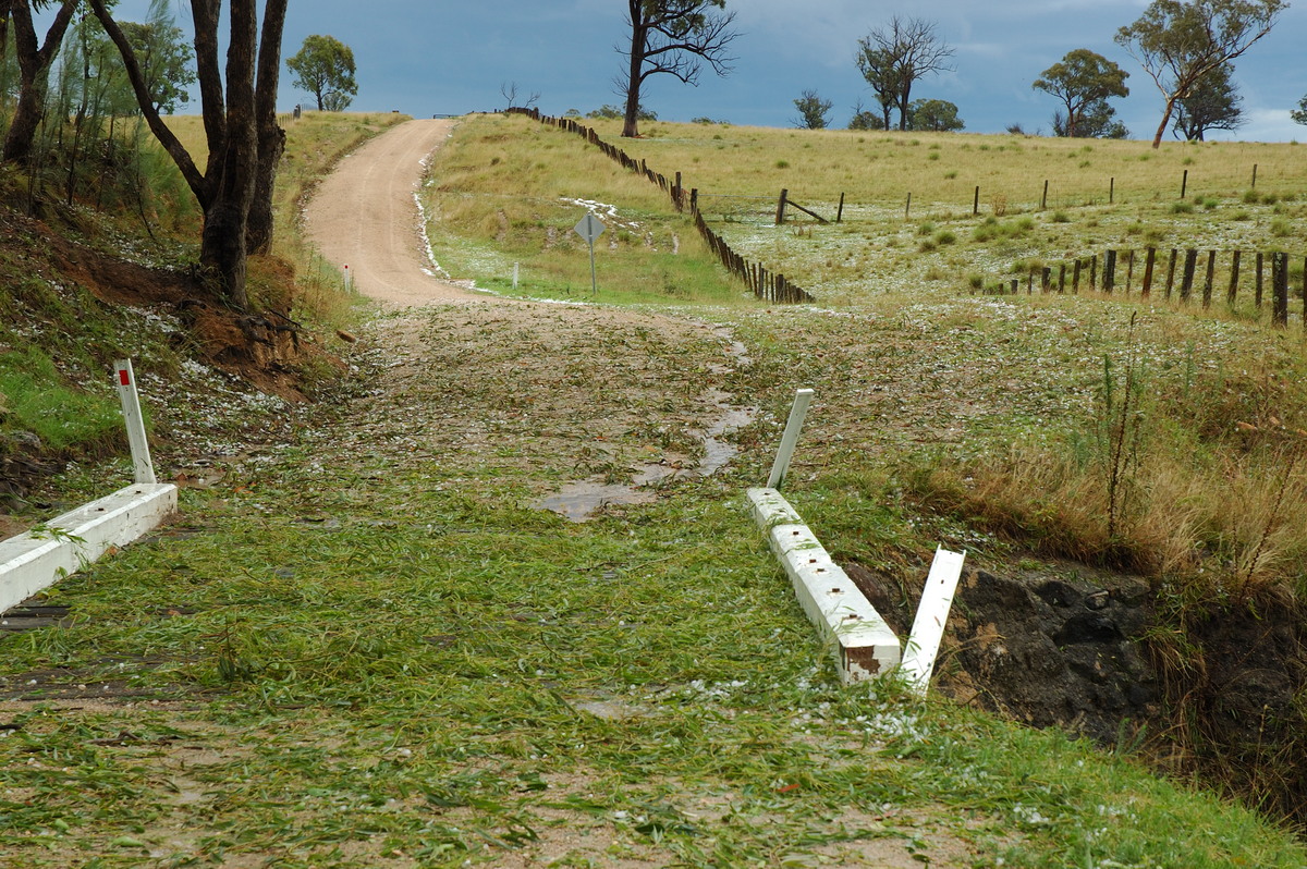 hailstones hail_stones : S of Tenterfield, NSW   10 February 2007