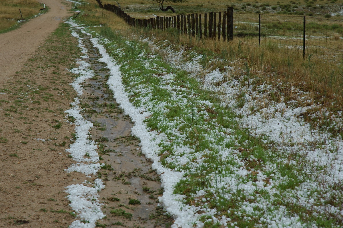 hailstones hail_stones : S of Tenterfield, NSW   10 February 2007