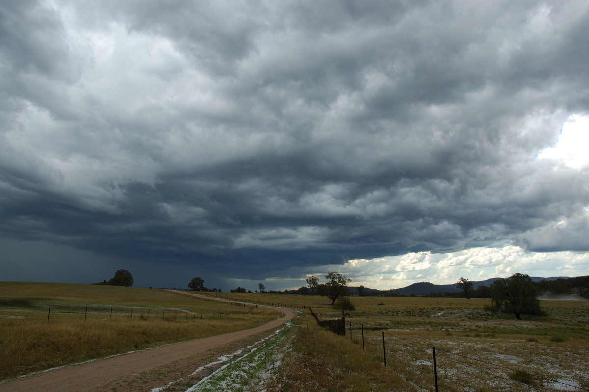 hailstones hail_stones : S of Tenterfield, NSW   10 February 2007